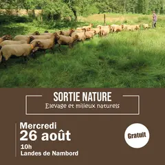 Sortie nature : Élevage et milieux naturels