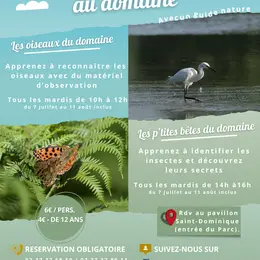 Sortie nature en famille - Les Oiseaux du domaine