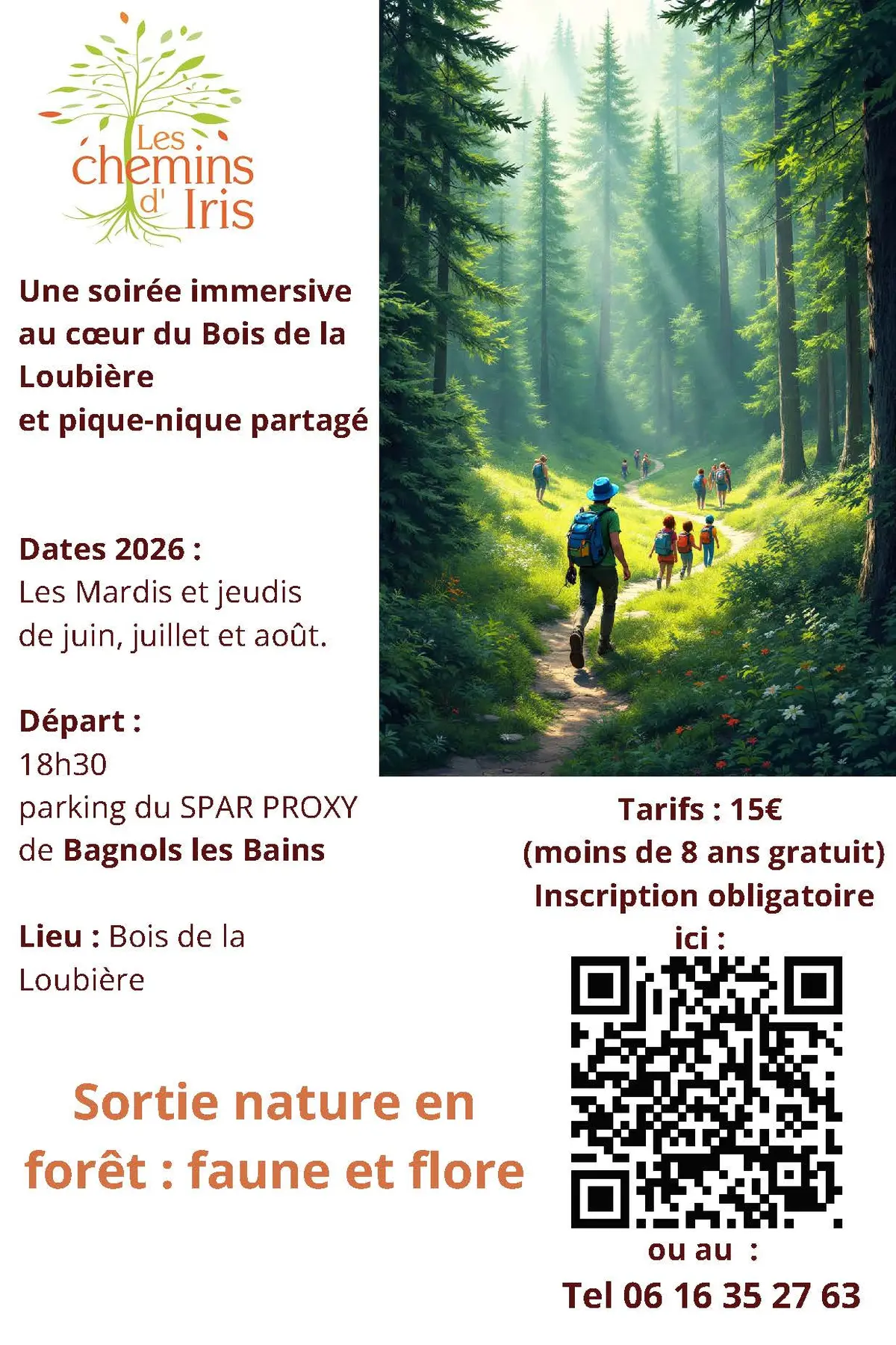 Sortie Nature En Forêt : Faune, Flore Au Crépuscule
