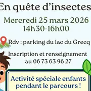 Sortie nature : En quête d'insectes
