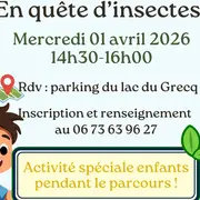 Sortie nature : En quête d'insectes