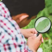 Sortie nature : Enquête sauvage