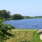 Sortie nature et découvertes