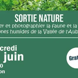 Sortie nature et photo