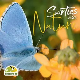 Sortie Nature : Fabrication d'Objets