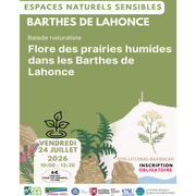 Sortie nature - flore des prairies humides