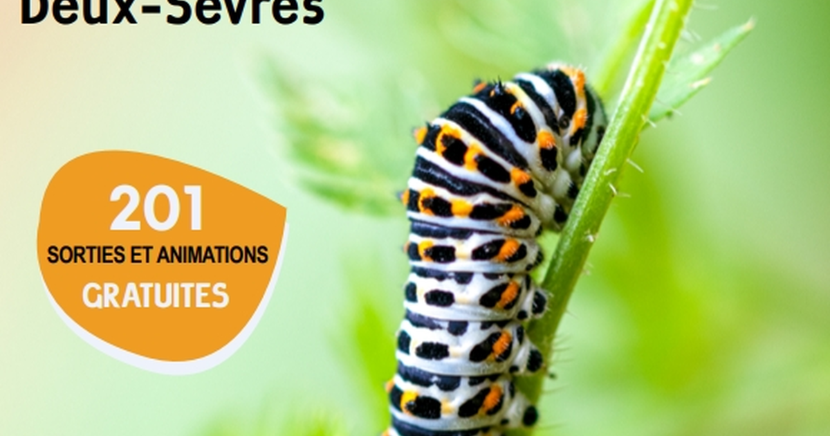 Sortie nature - Formez-vous aux libellules