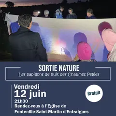 Sortie nature : formez-vous aux papillons de nuit des Chaumes Pelées