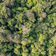 Sortie Nature : Gestion forestière durable illustrée