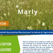 Sortie nature : Intérêt des praires fleuries pour la nature & l'agriculture