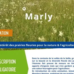 Sortie nature : Intérêt des praires fleuries pour la nature & l'agriculture