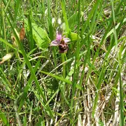 Sortie Nature : J'agis pour la nature