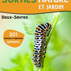Sortie nature - Jouets buissonniers en balade