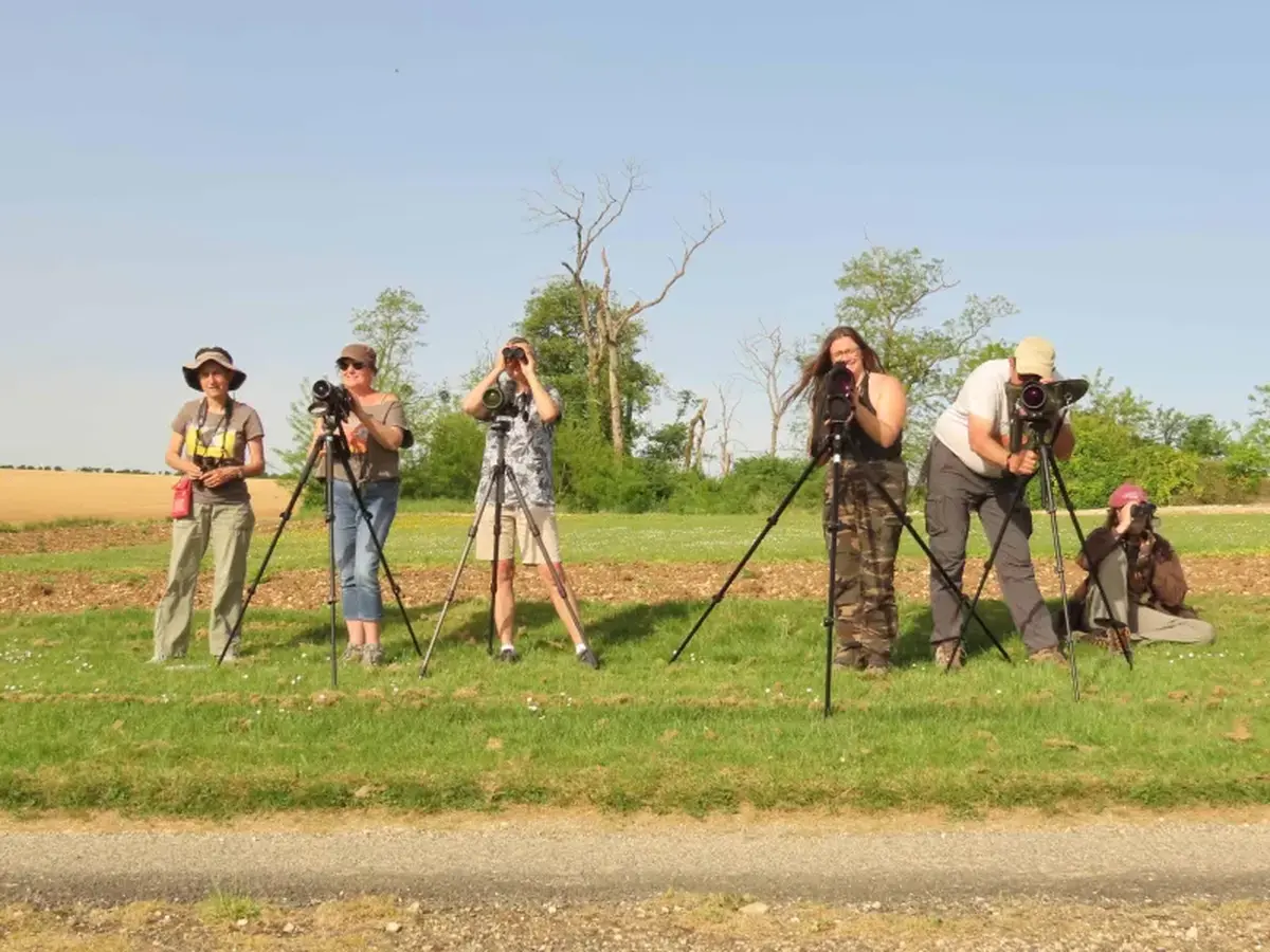 Sortie nature : Journée de la prospection Busards