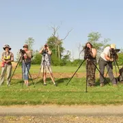 Sortie nature : Journée de la prospection Busards