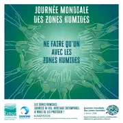Sortie Nature : Journée Mondiale des Zones Humides
