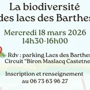 Sortie nature : La biodiversité des lacs