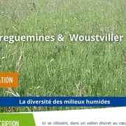Sortie nature - La diversité des milieux humides