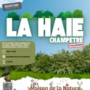 Sortie nature : la haie