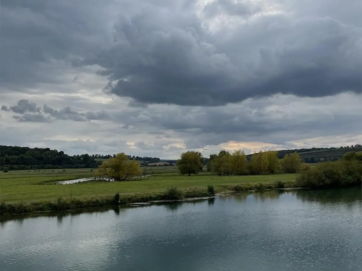 Sortie nature : la noue, havre pour la vie sauvage