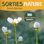 Sortie nature : La Pie Grièche à tête rousse
