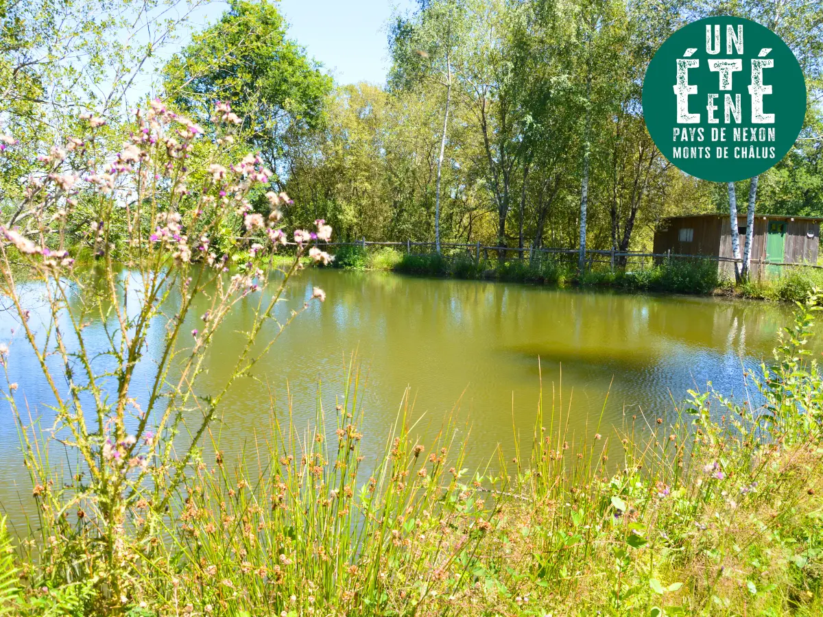 Sortie nature - La princesse et la grenouille