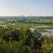 Sortie nature : La réserve naturelle régionale de l'Ilon