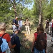 Sortie nature : La sourcellerie dans les Alpilles