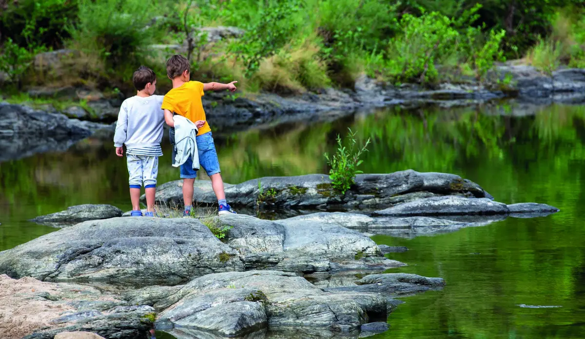 Sortie Nature - La Vie De La Truyère