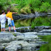 Sortie Nature - La Vie De La Truyère