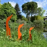 Sortie Nature : La vie des arbres