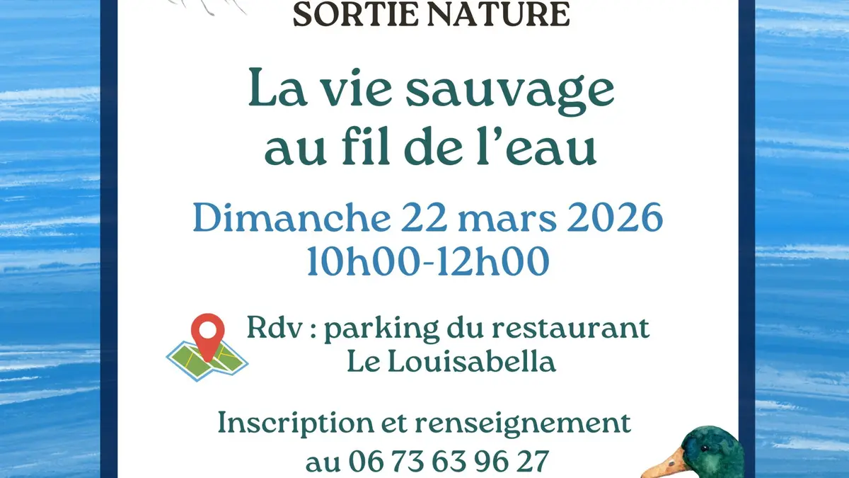 Sortie Nature : La vie sauvage au fil de l'eau