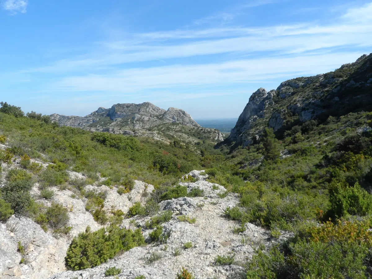 Sortie nature : Le génie de la garrigue, quand la nature brave les éléments