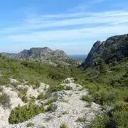 Sortie nature : Le génie de la garrigue, quand la nature brave les éléments
