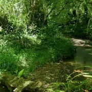 Sortie nature : Le long de la Geüle à Cescau