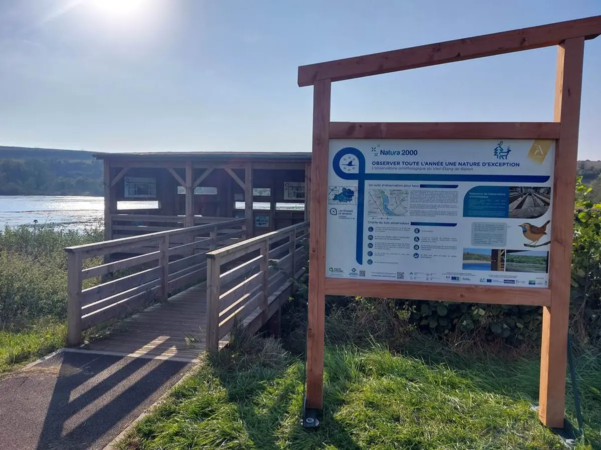 Sortie nature : le Vieil-étang de Bairon