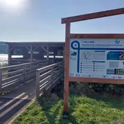 Sortie nature : le Vieil-étang de Bairon