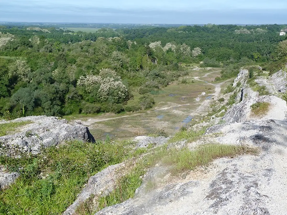 Sortie nature : Les amphibiens de la Réserve naturelle