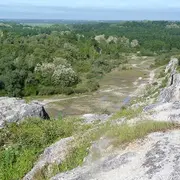 Sortie nature : Les amphibiens de la Réserve naturelle