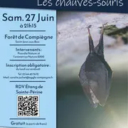 Sortie nature | Les chauves-souris