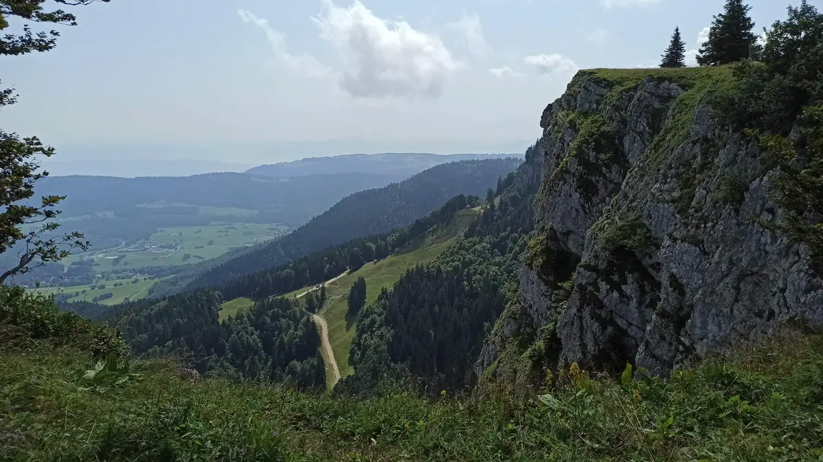 Sortie nature - Les crêtes du Mont d'Or : Faune, flore et histoire du Mont d’or