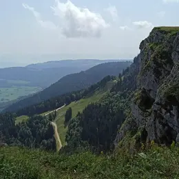 Sortie nature - Les crêtes du Mont d'Or : Faune, flore et histoire du Mont d’or
