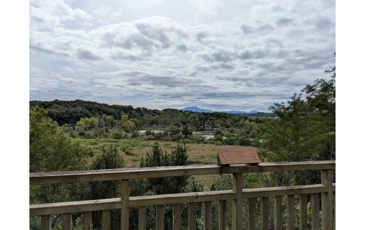 Sortie nature : Les espèces exotiques envahissantes