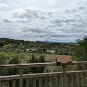 Sortie nature : Les espèces exotiques envahissantes