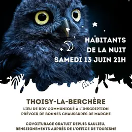 Sortie nature Les habitants de la nuit