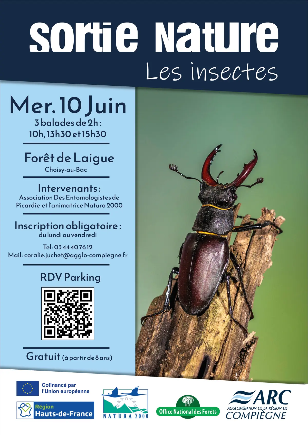 Sortie nature | Les insectes