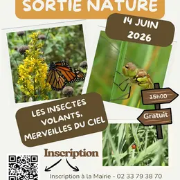 Sortie nature : Les insectes volants, merveilles du ciel