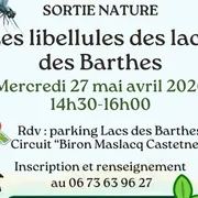 Sortie nature : Les libélulles des lacs des Barthes