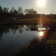 Sortie nature : les mysteres de la nuit