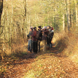 Sortie Nature Les oiseaux en hiver